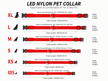 USB Rechargeable LED Dog Collar – Glow in the Dark Safety Collar for Night Walks