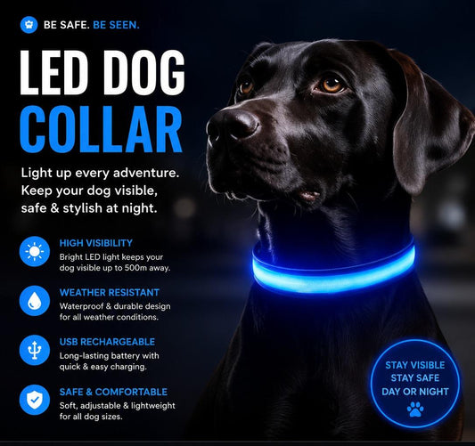 USB Rechargeable LED Dog Collar – Glow in the Dark Safety Collar for Night Walks