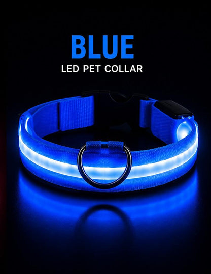 USB Rechargeable LED Dog Collar – Glow in the Dark Safety Collar for Night Walks